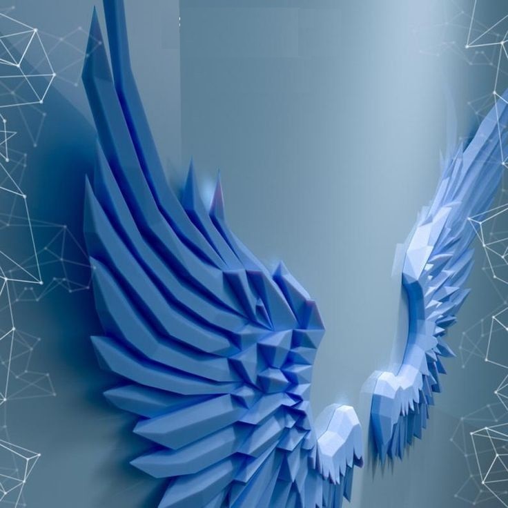 photo_4956723462148303504_x